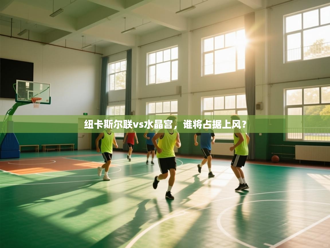 纽卡斯尔联vs水晶宫，谁将占据上风？  第1张