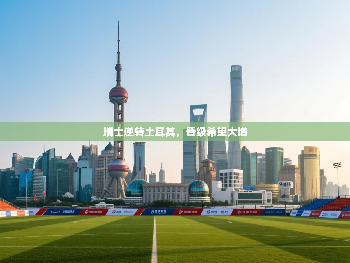 瑞士逆转土耳其，晋级希望大增  第2张