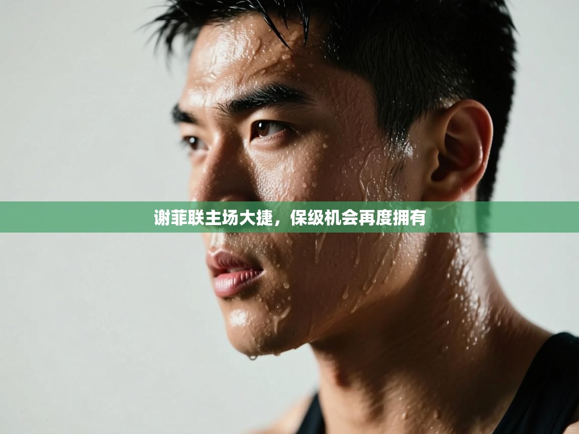 谢菲联主场大捷，保级机会再度拥有  第1张