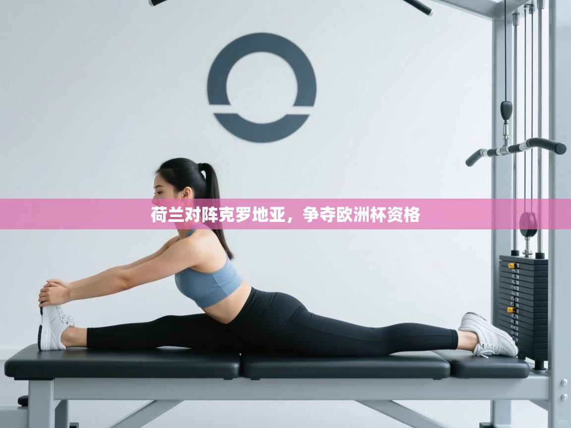 荷兰对阵克罗地亚，争夺欧洲杯资格  第1张