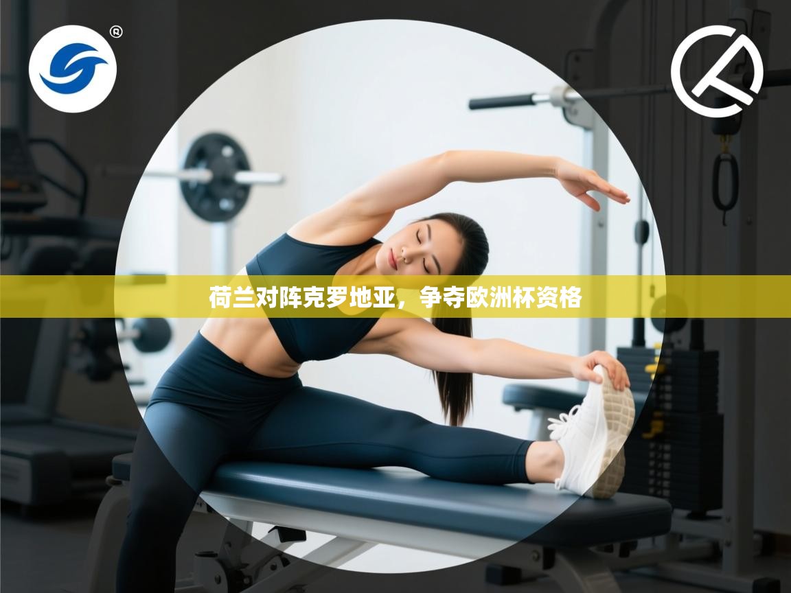 荷兰对阵克罗地亚，争夺欧洲杯资格  第2张